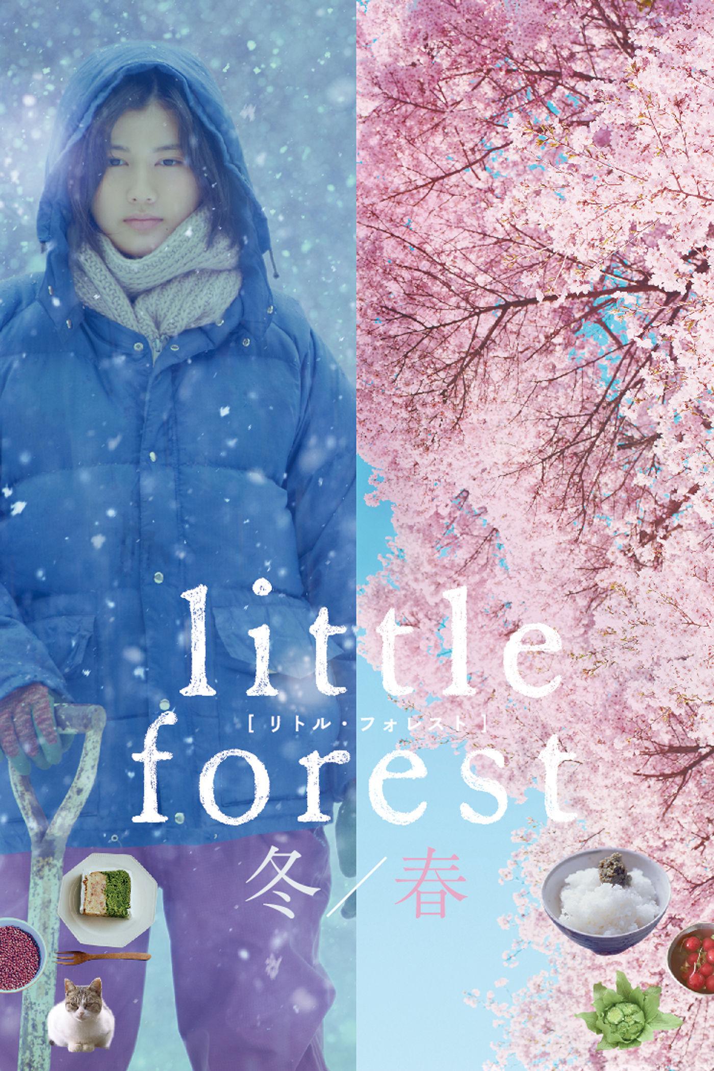 剧情片《小森林 冬春篇》（2015）